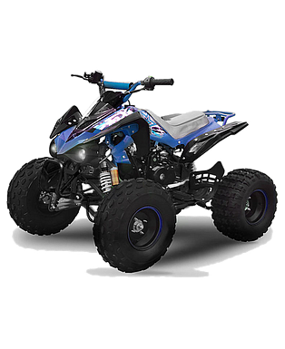 TOX: MINI ATV 125cc SPEEDBIRD 3+R